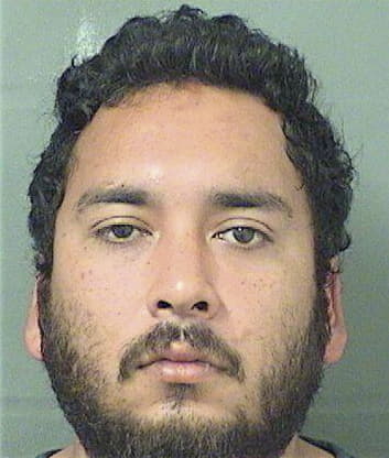 Mauricio Martinezhernandez, - Palm Beach County, FL 